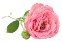 RfJ124GXVhXl (200x135, 35Kb)